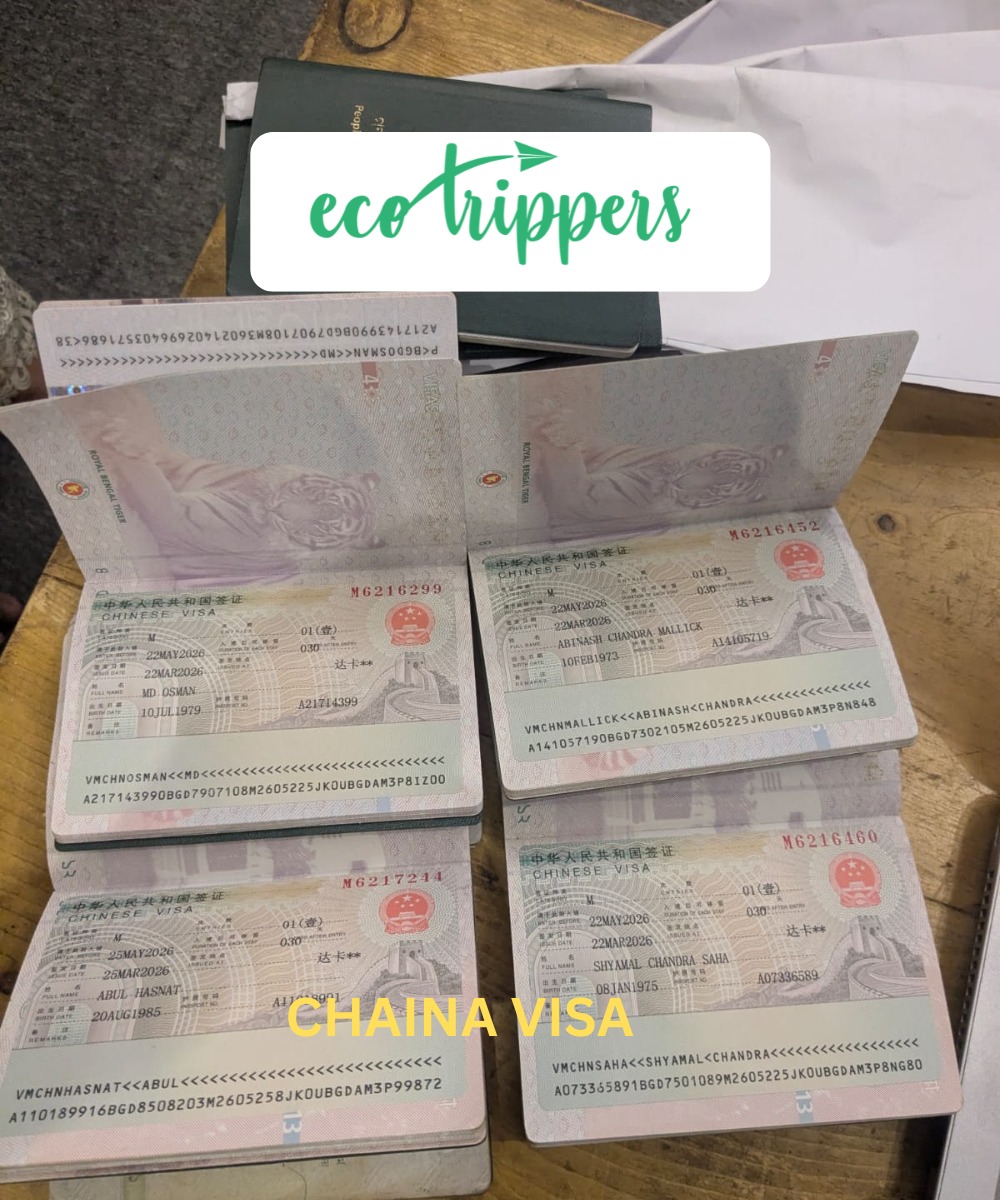 Visa approval success
